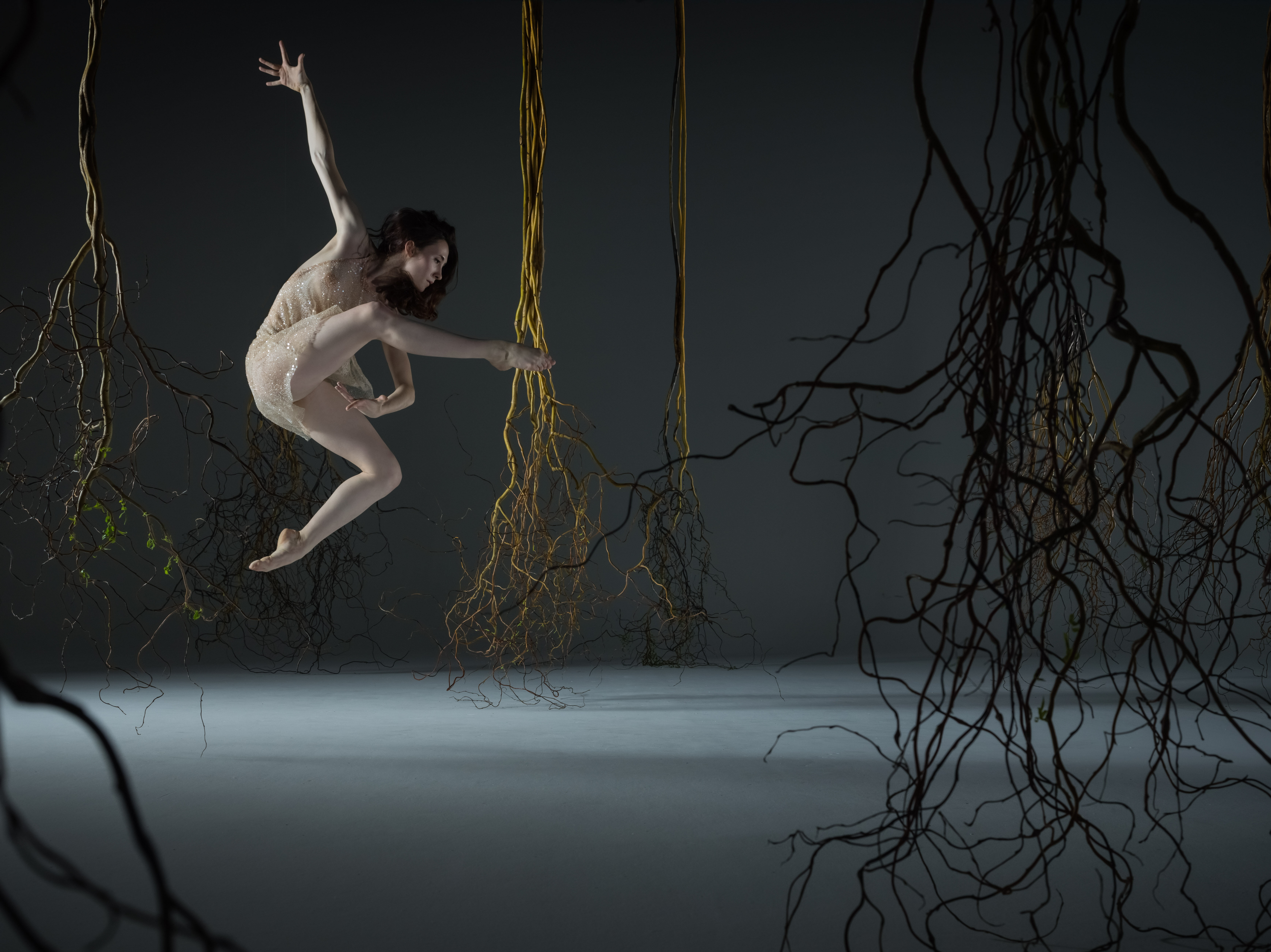 Alonzo King LINES Ballet dancer Maya Harr jumping amidst branches against a gray background