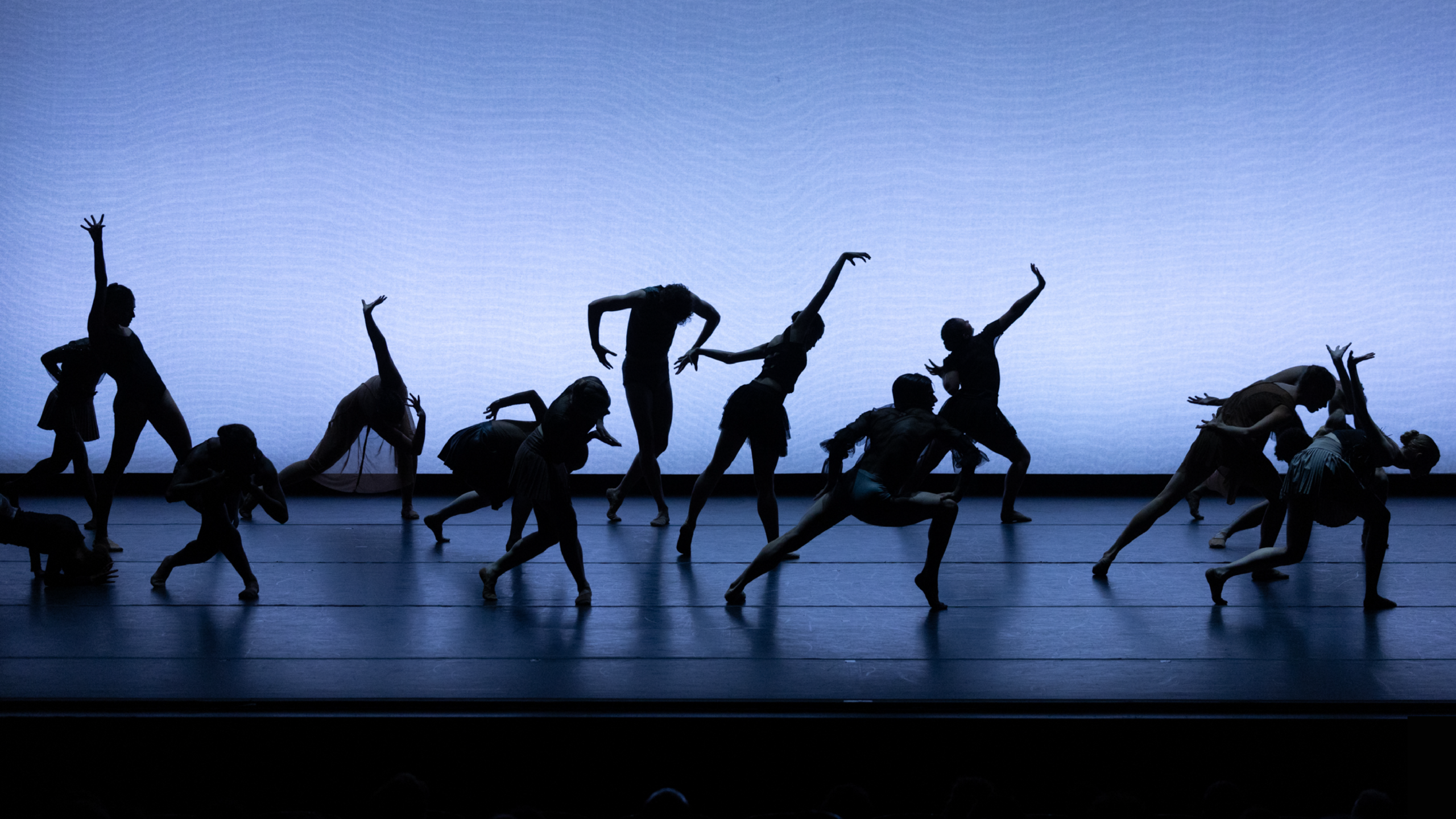 Summer Program dancers perform onstage; 14 dancers reach out their limbs on different levels in silhouette against a grey-blue backdrop.